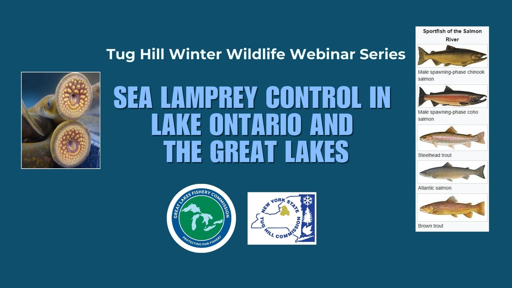 Winter Wildlife Webinar Series Sea Lamprey Control In Lake Ontario And